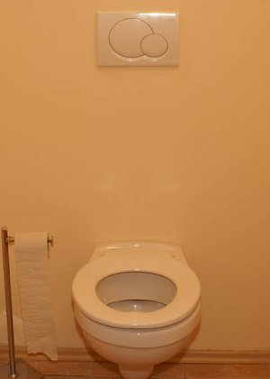 Зрелая блядь часто заходит в этот туалет, в котором из дырки часто появляется хуй